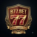 B77-Game